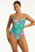 Pacifico Spliced Tri One Piece SWIM 1PC SEA LEVEL 